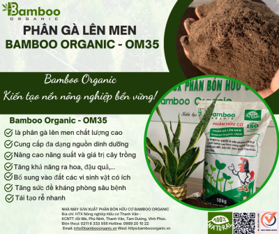 Bamboo Organic OM35 10kg