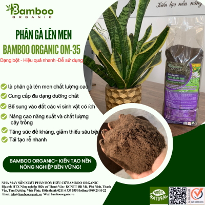 Bamboo Organic OM35 1kg