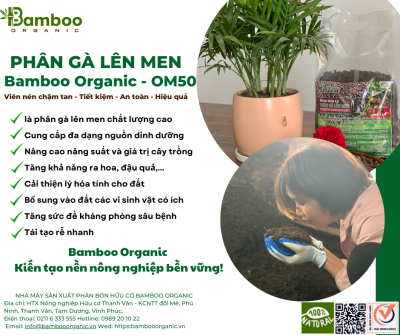 Bamboo Organic OM50 2.2kg