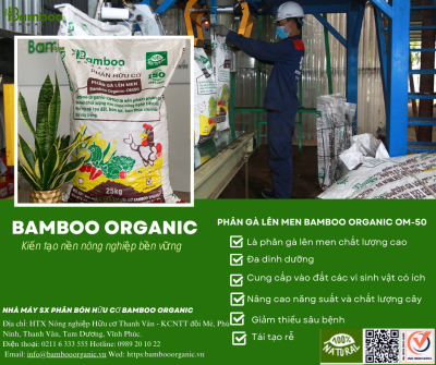 Bamboo Organic OM50 25kg