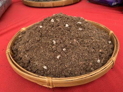 Đất trồng rau và hoa BO - SOIL MIXED.001